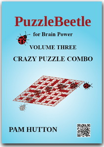 PuzzleBeetle Volume 3