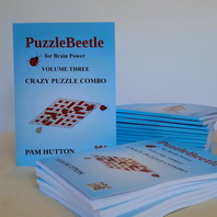 PuzzleBeetle Volume 3